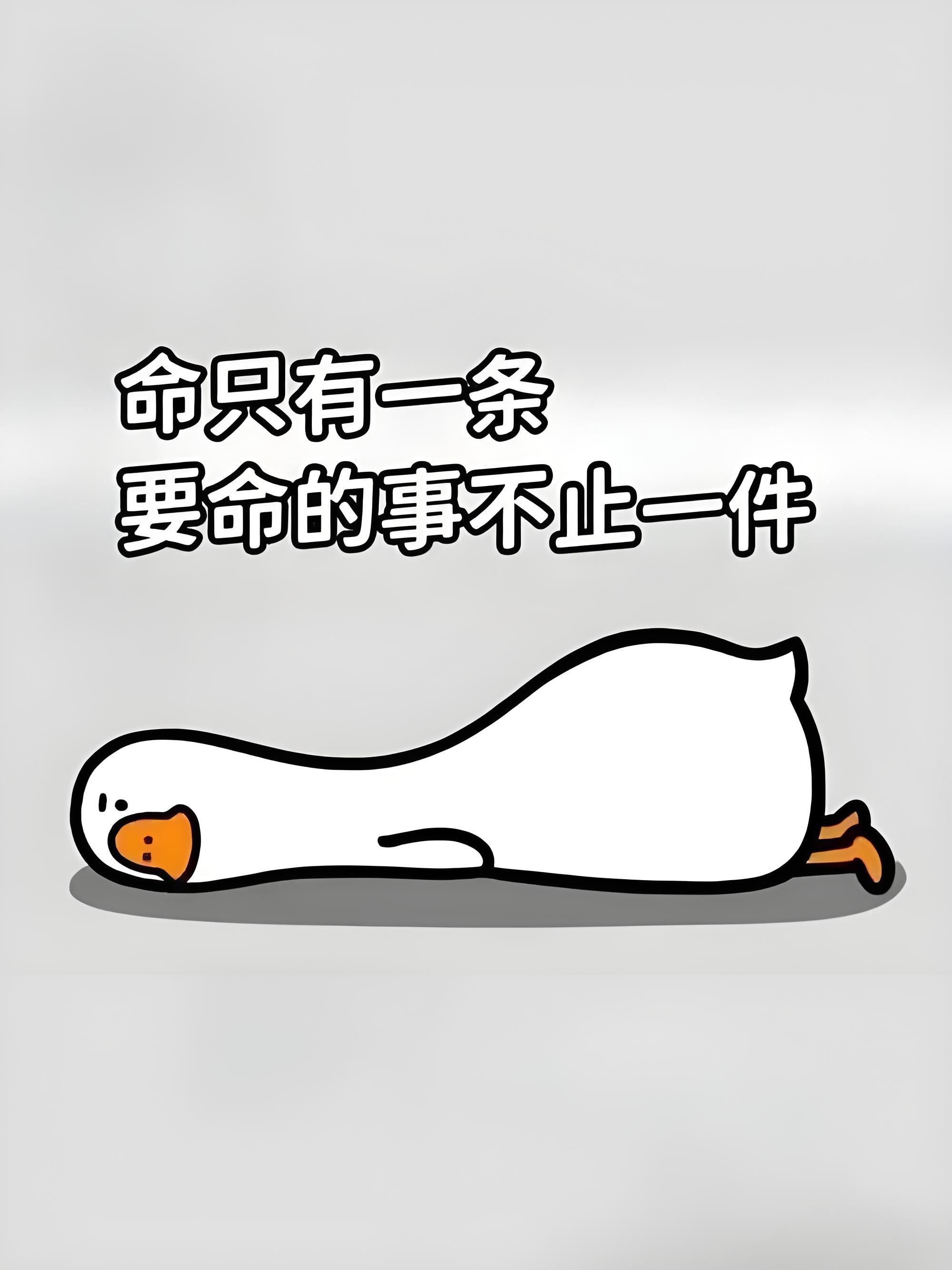 罗永浩 西贝我没吃过西贝，也没吃过老罗方便面。但我这一年吃的面包店和包子店，基本