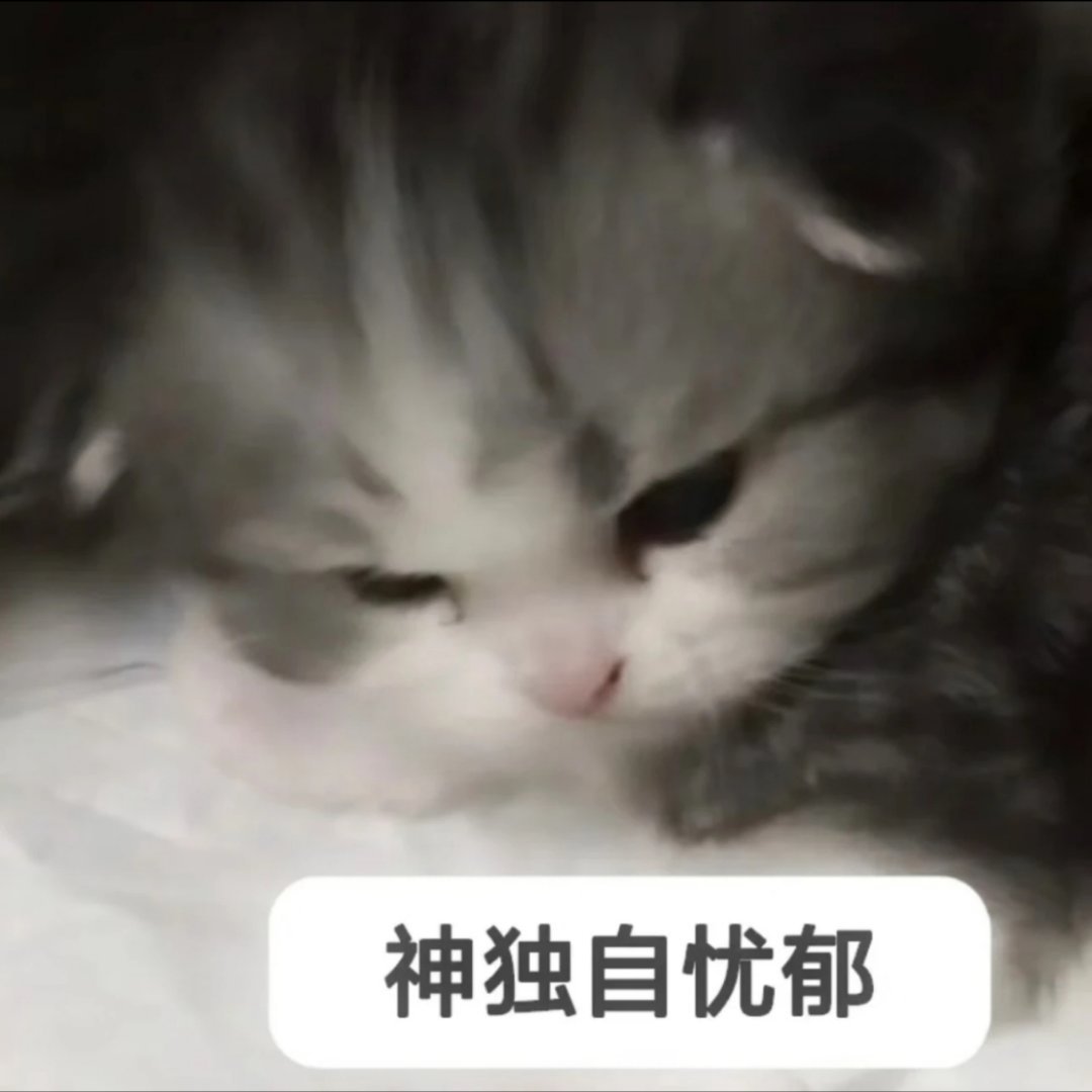 你们说我能在8月1号下午看虫4之前屏蔽所有社媒的电影解说和剧透吗