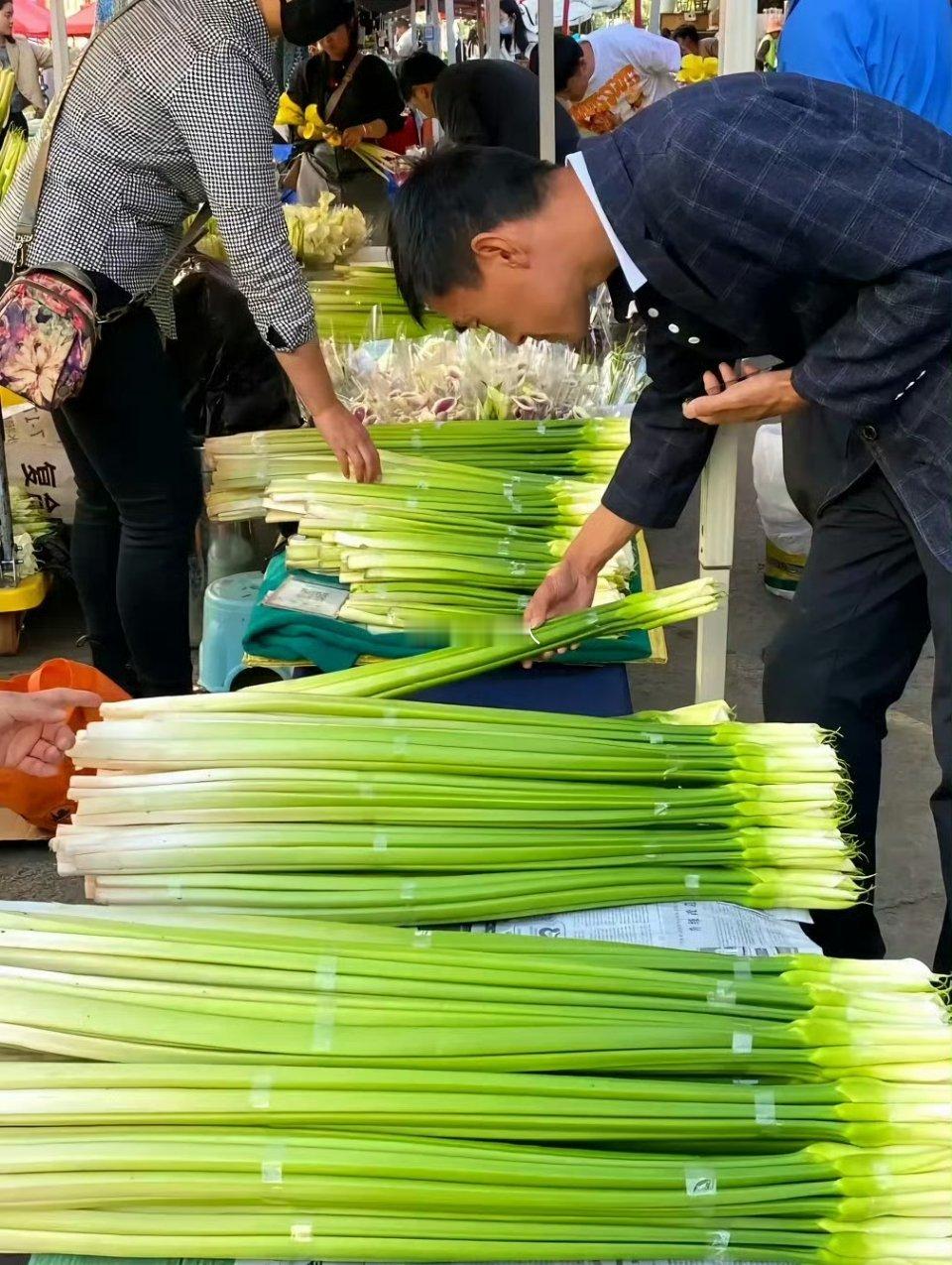 下午去菜市场看到的，既不是葱，也不是蒜，更不像芹菜，这到底是啥？ ​​​