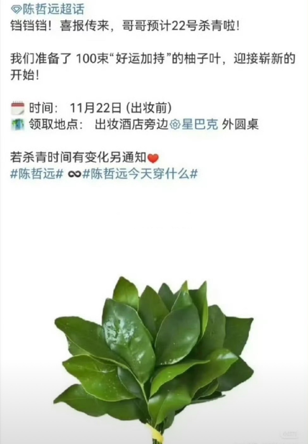 陈哲远终于要杀青了，恭喜远子脱离苦海