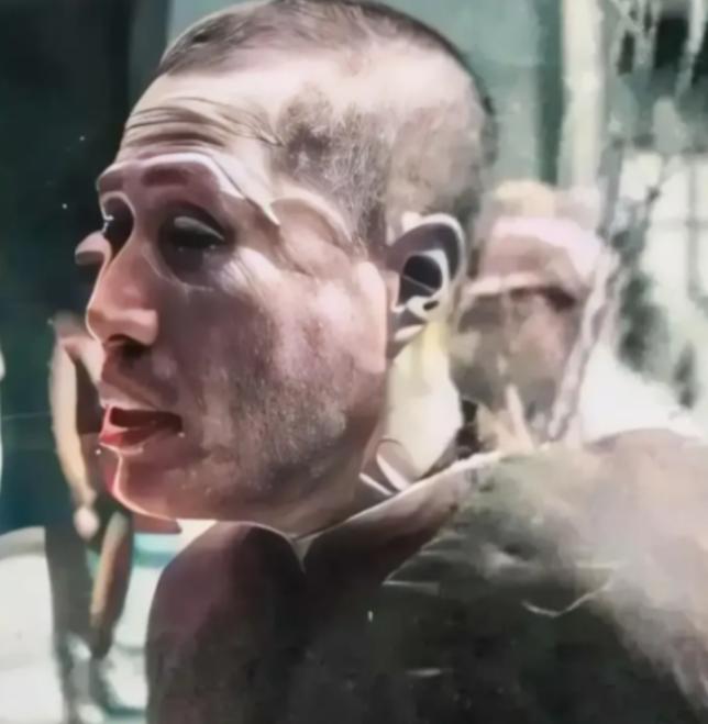 1951年，杀害抗日英雄吉鸿昌的国军特务吕一民，逃亡了16年后在天津被捕，他被五