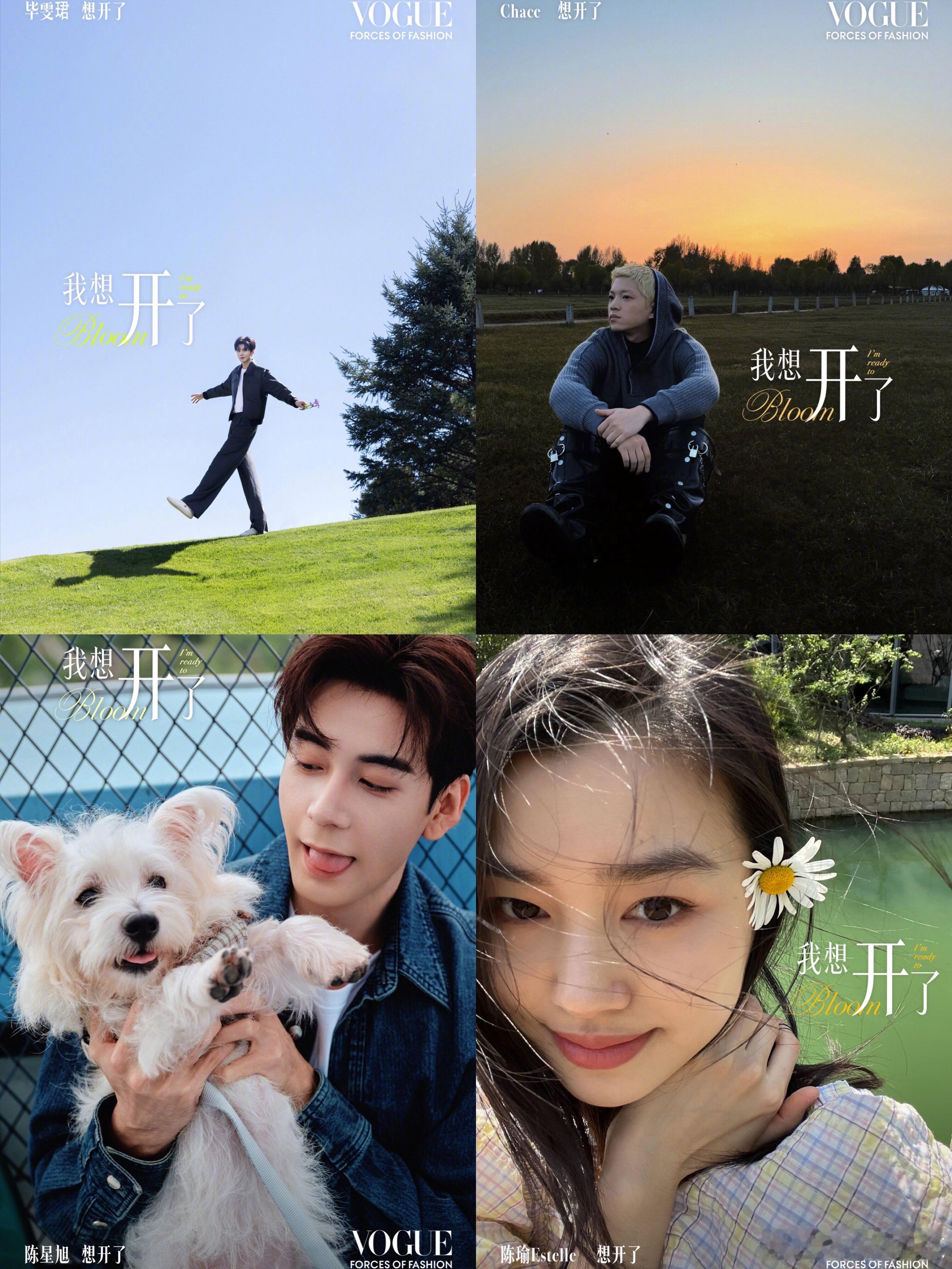 VOGUE 盛典阵容完整名单一览 ！ 【女星】谷爱凌 、黄英 、吉克隽逸 、金晨