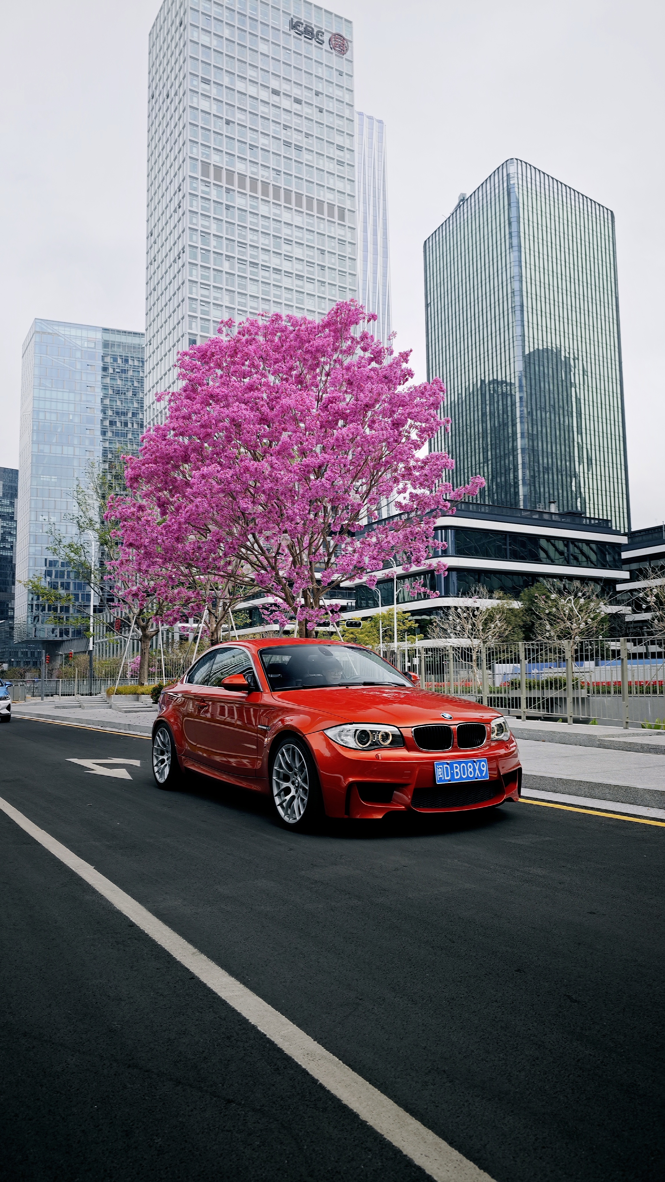 今天带阿兔的1M 出来溜达溜达，临近年关的深圳开车真舒服，景色好，路好，车少~手