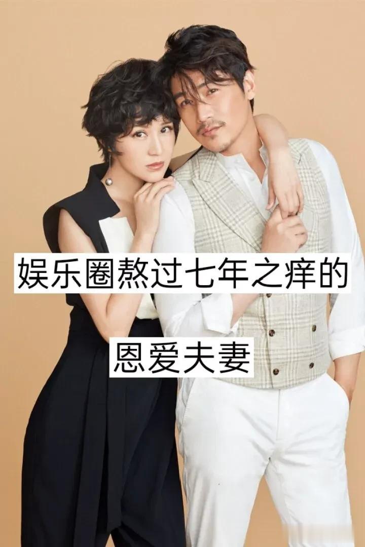 娱乐圈熬过7年之痒的恩爱夫妻