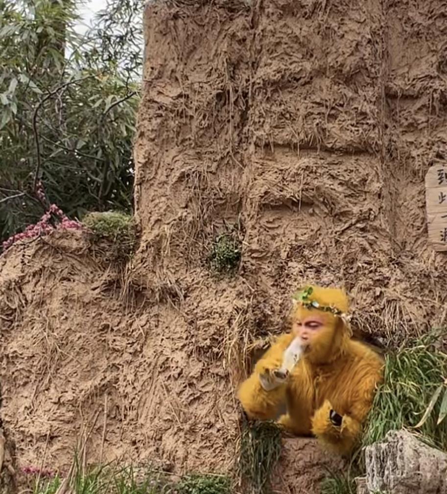 一句话概括，幸福是什么⊙∀⊙？