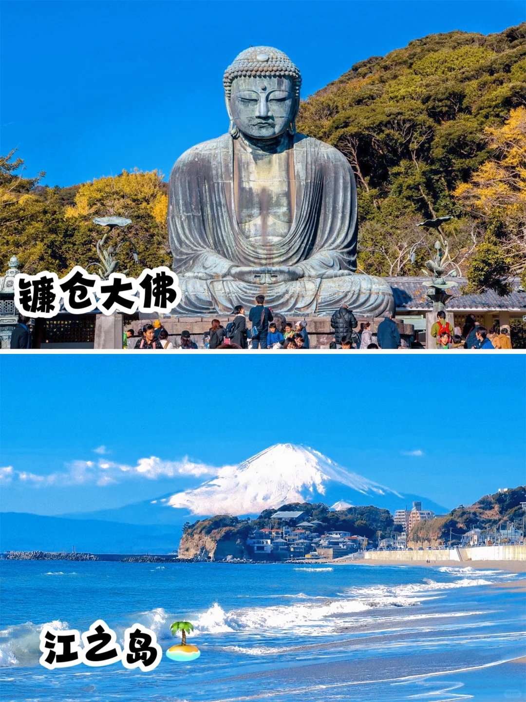 冬季日本旅游/大雪也封不住它的浪漫太美了