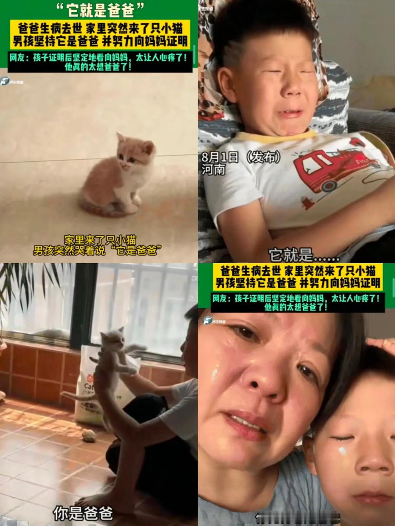 看到这事儿我真的泪目了！
河南有个小男孩，梦到因病离世的爸爸变成了猫。结果第二天
