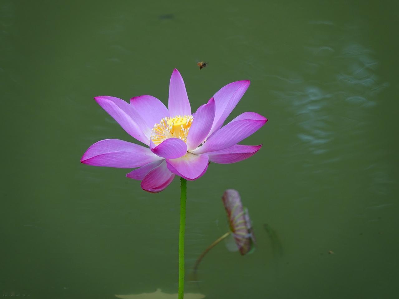 不论何时，你一定都不要辜负了身边每一个真心对你好的人，毕竟他们在对你好和不对你好