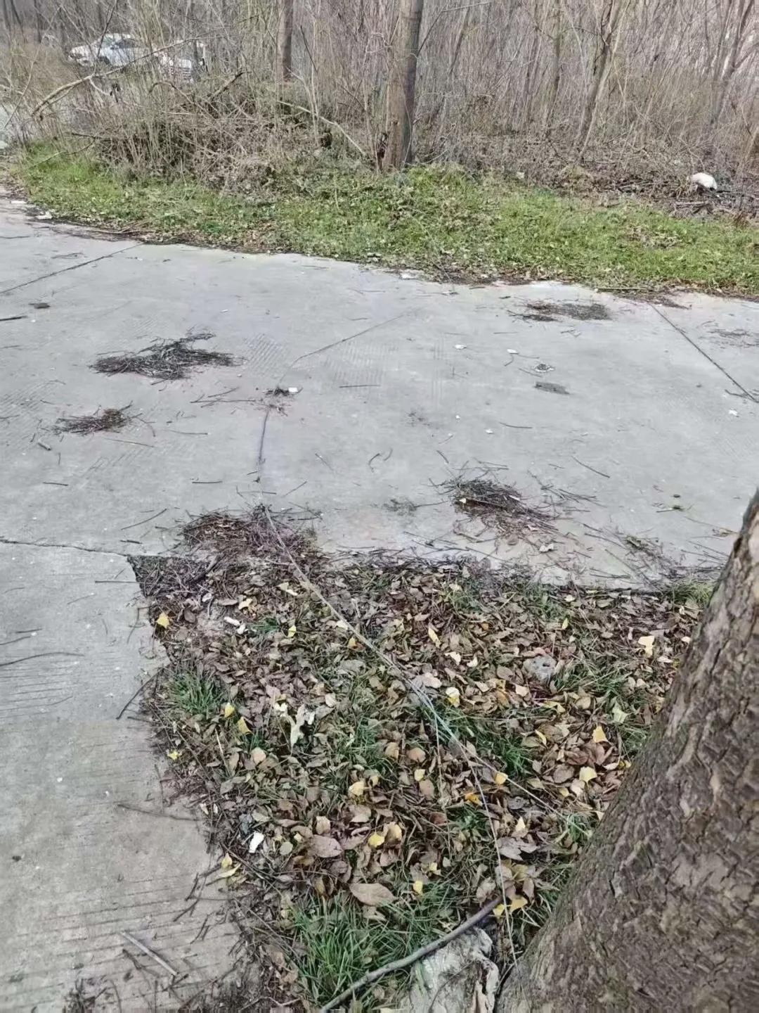 夺命铁丝！59岁父亲公园骑车，竟被一根铁丝割喉惨死！园方回应惹众怒…

冬日清晨