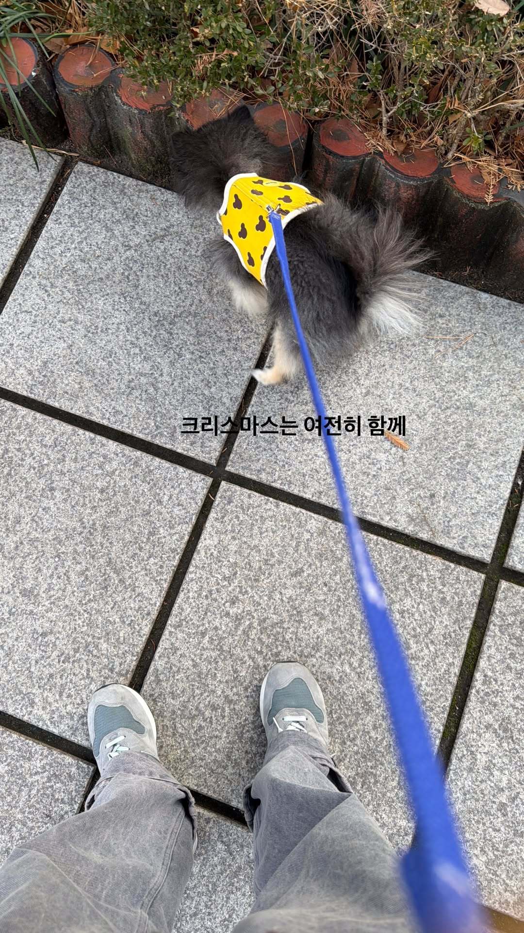 “CB百蓝_。251224金钟云 ins story更新：圣诞节也依然在一起 