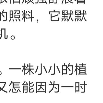 在平凡的生活中，有一颗坚定不移的心，有一份执着果敢的勇气。年轻的时光里有着绚烂的