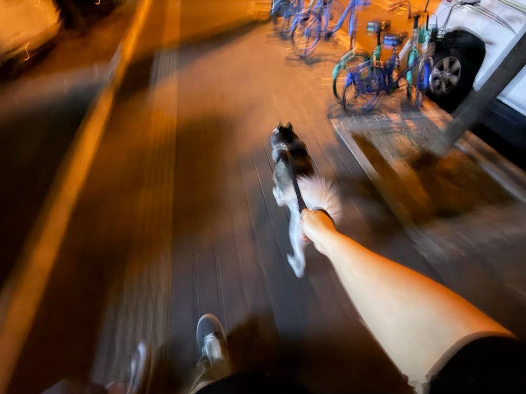 这人岁数一大，就总感觉孤独，小动物的治愈能力随之直线上升。凯文聊车