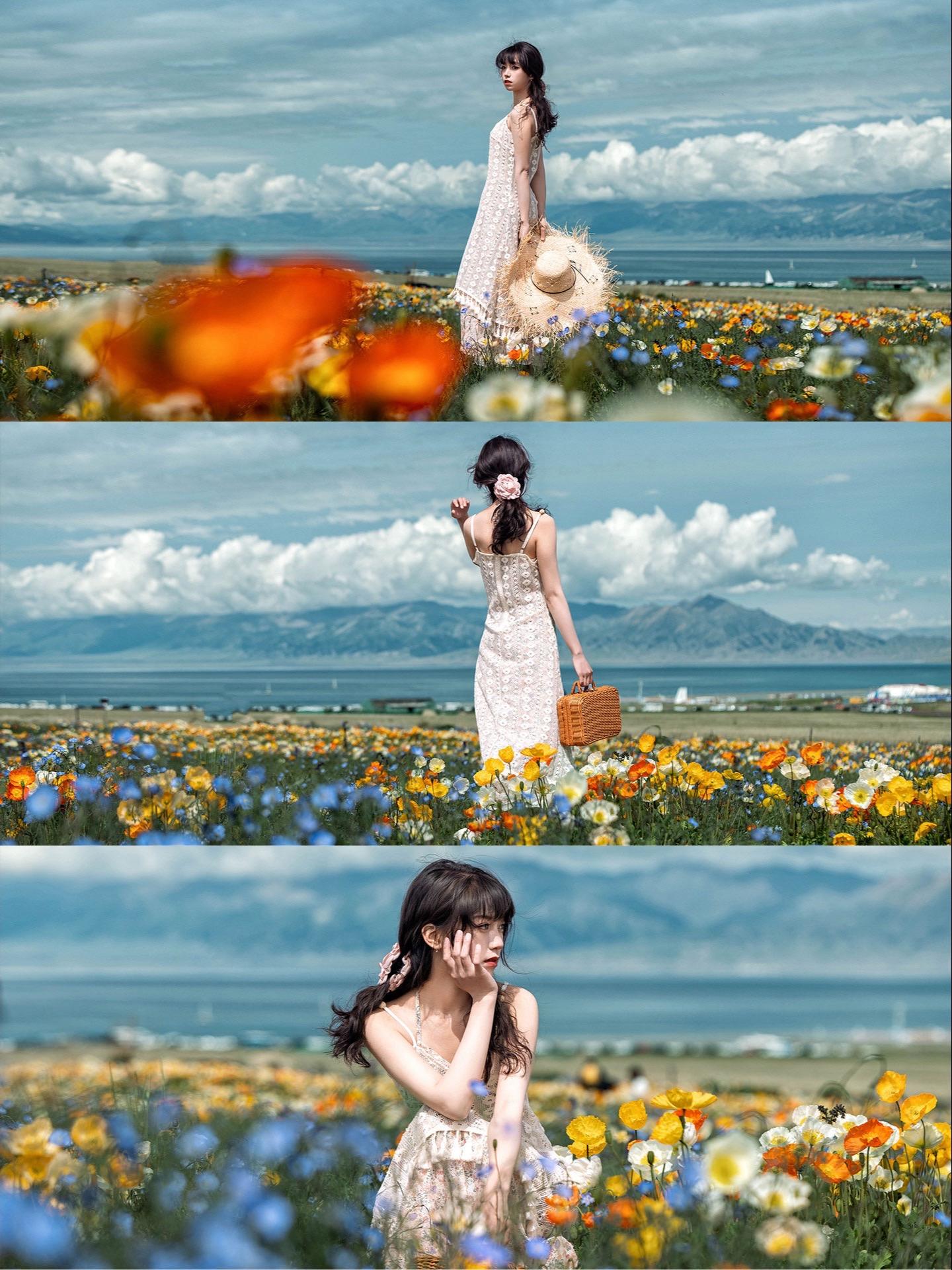 梵高有向日葵，赛里木湖有虞美人。如果梵高笔下热烈燃烧的向日葵 是普罗旺...