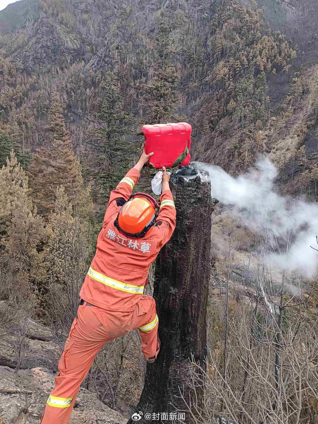 【四川#雅江森林火灾明火已全部扑灭#】3月26日，记者从雅江县“3·15”森林火