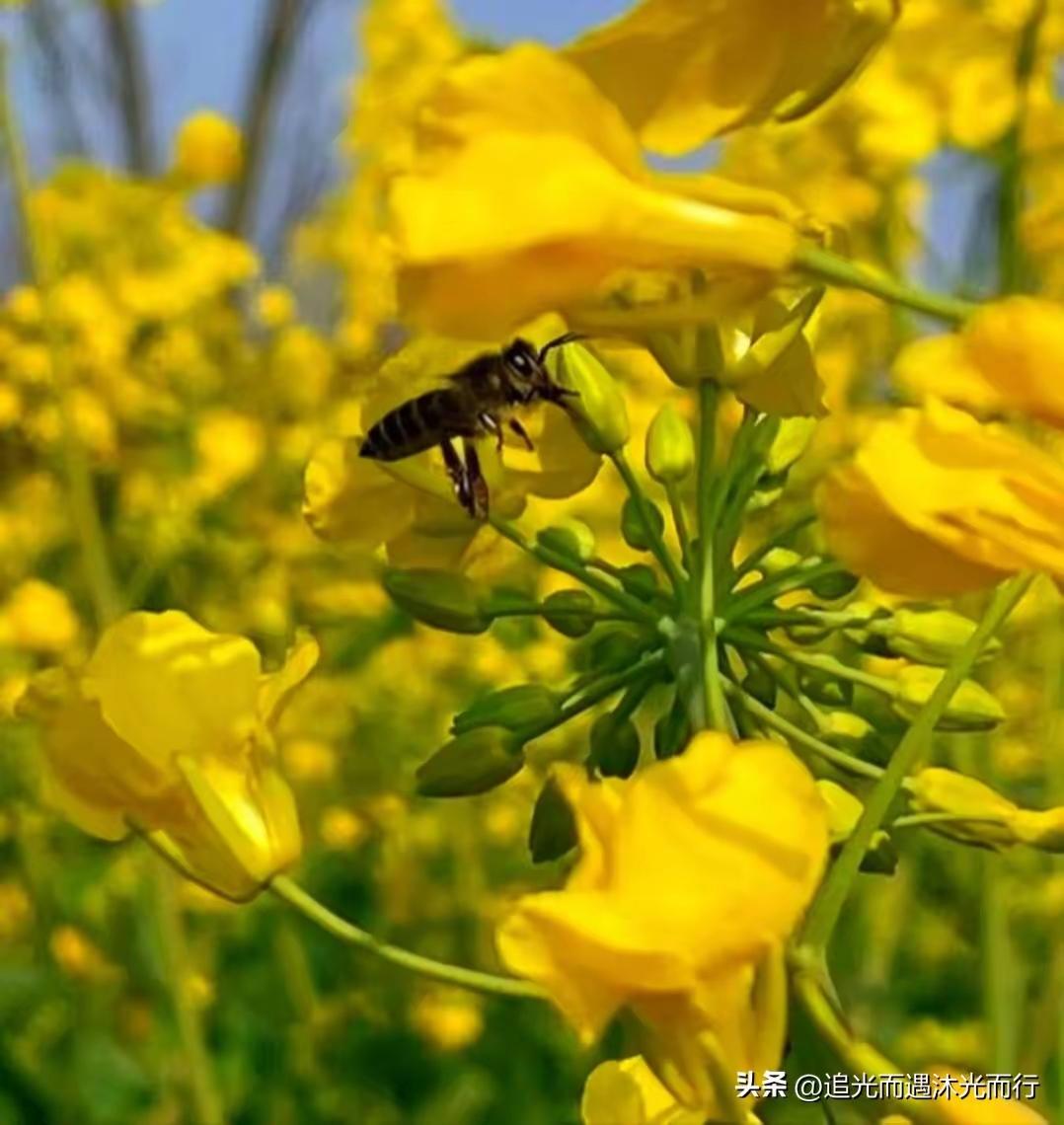 职场老江湖处事之道
 
上班别再傻傻闷头苦干了，
会干活的人不累，会做事的人轻松