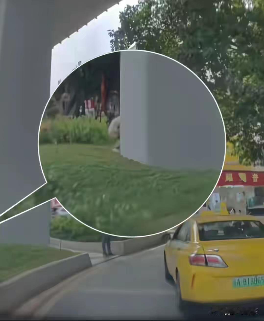 高架桥绿化变“厕所”？印度游客行为引热议，文明底线不该失守
 
刷到条离谱新闻，