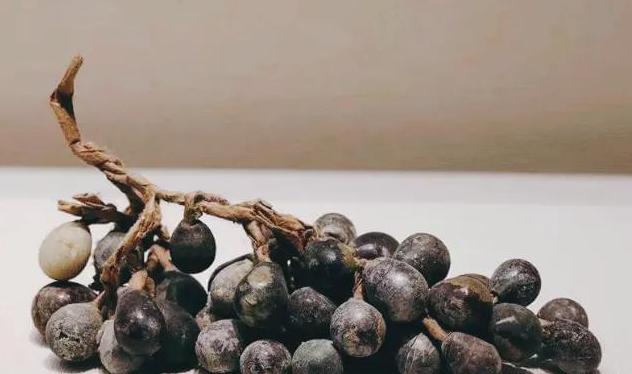 1969年5月，河北省一支考古队对一座千年古塔的地宫进行了考古发掘。在地宫出土的