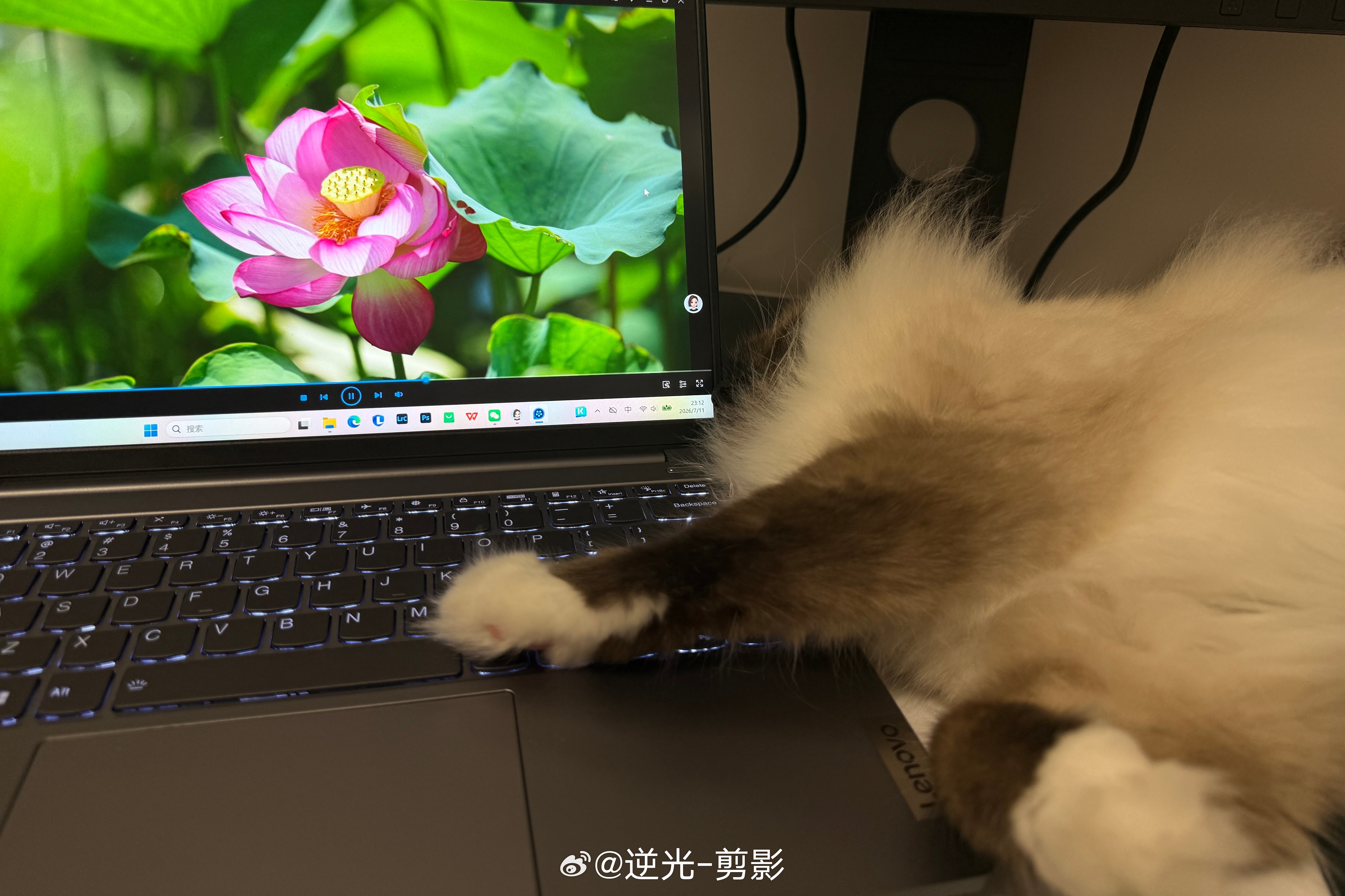 咪 