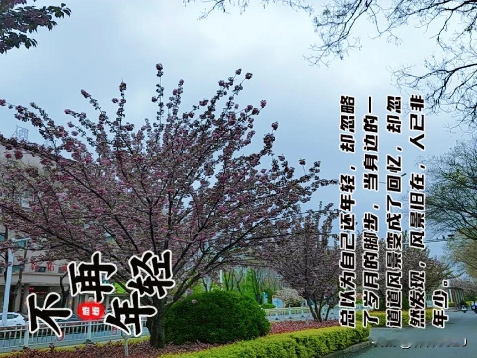 春日生活打卡季