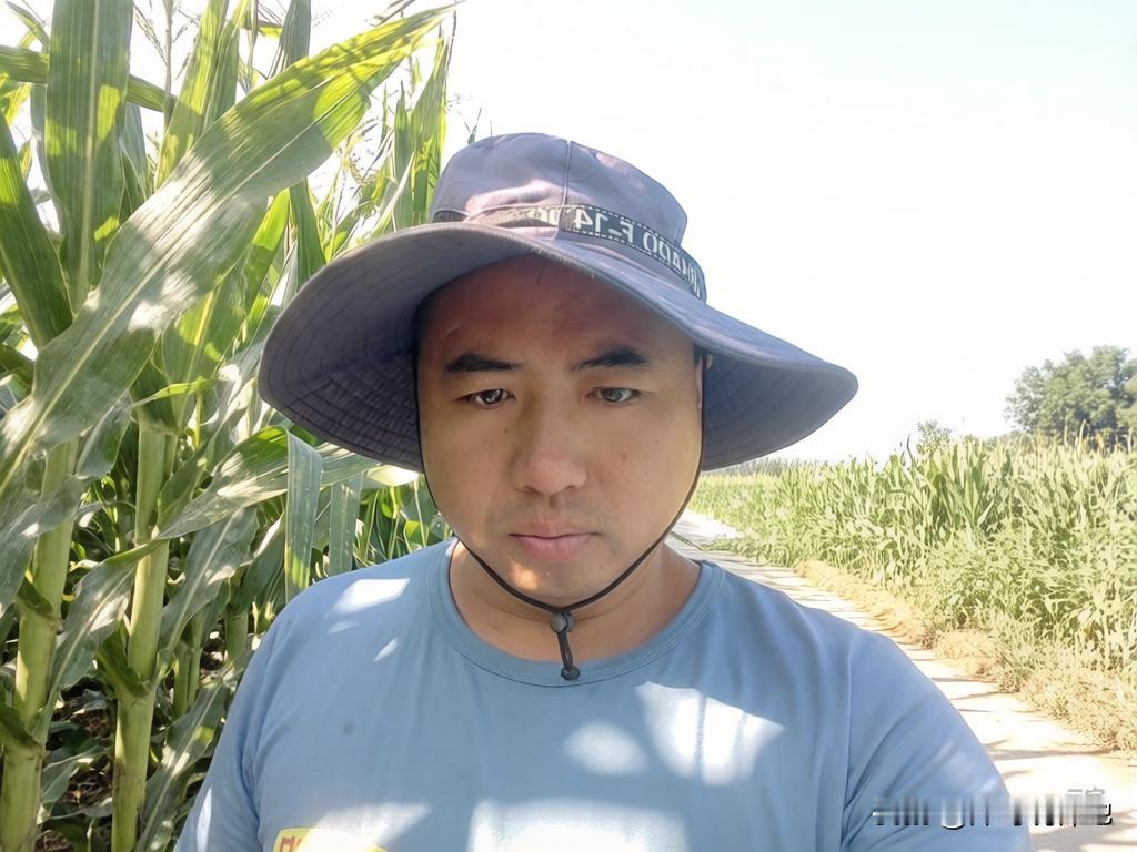 教你几招辨别假尿素，擦亮眼睛别上当
大家好，我是(洋哥聊种地）深耕农业20年，热