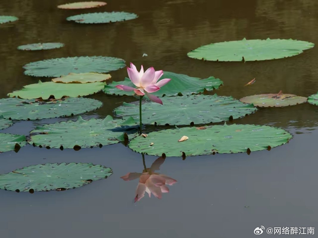 哲思呓语 人生就像一本书，翻开是故事，合上是回忆，谁都不完美，生活嘛，适合自己的
