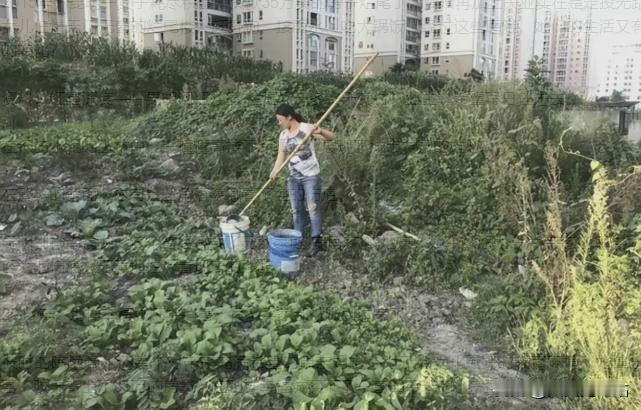 2015年，昆明一女子耗尽积蓄，贷款35万买的房子烂尾了，离婚再加上失业实在是走