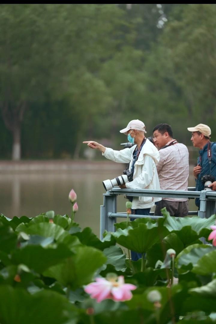 光看站姿就知道强的不行
大爷终究还是大爷