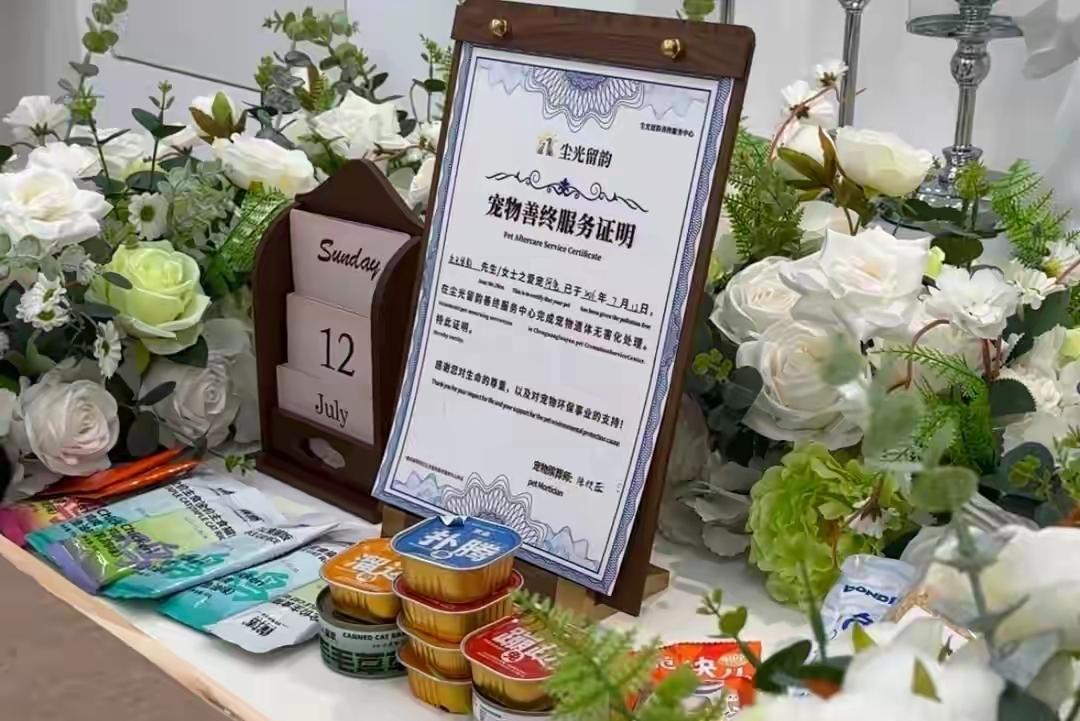 聊城的这家宠物殡葬服务出奇招！

高新区，最近多了一家叫“尘光留韵”的宠物善终服