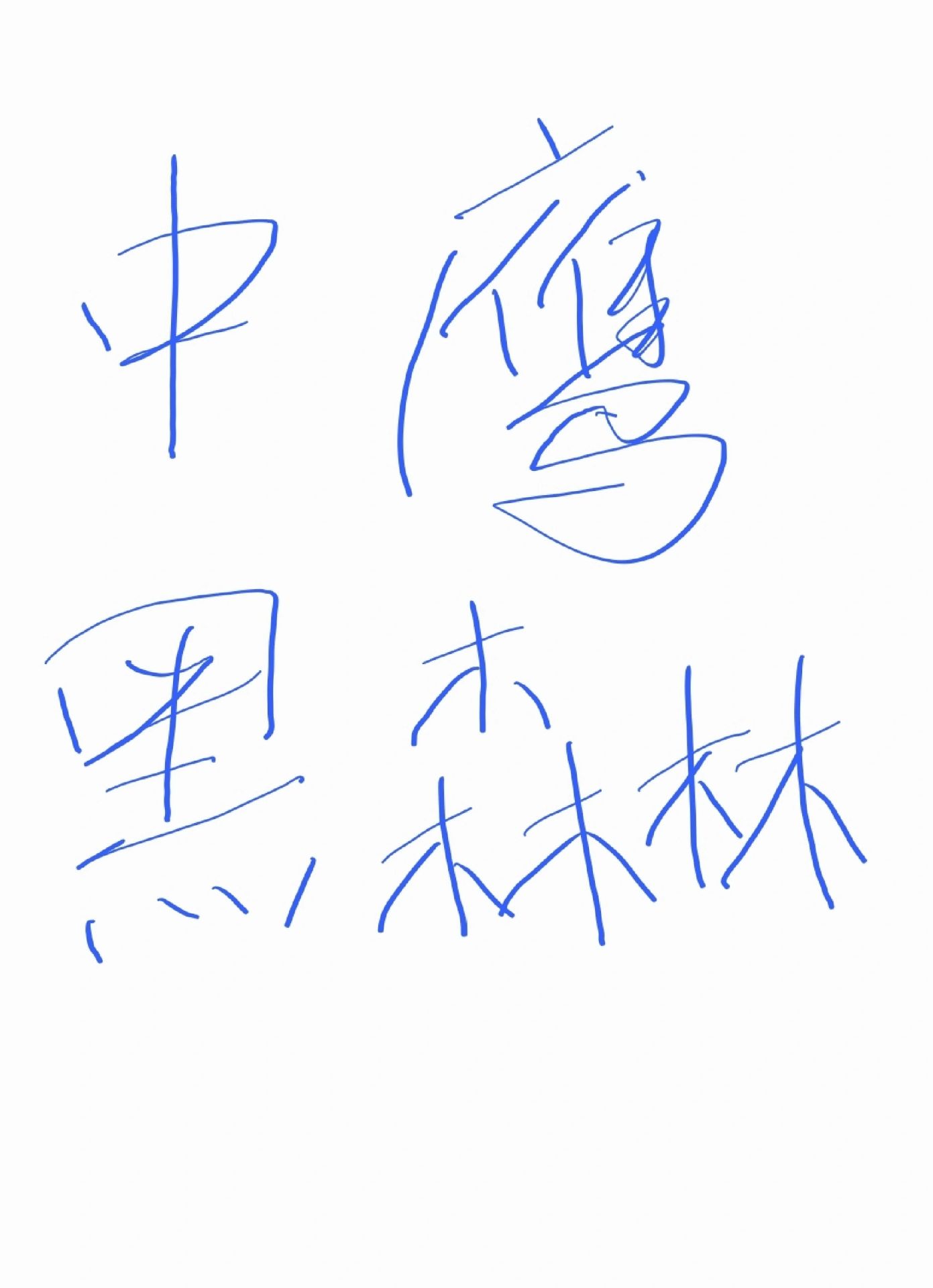 中鹰黑森林