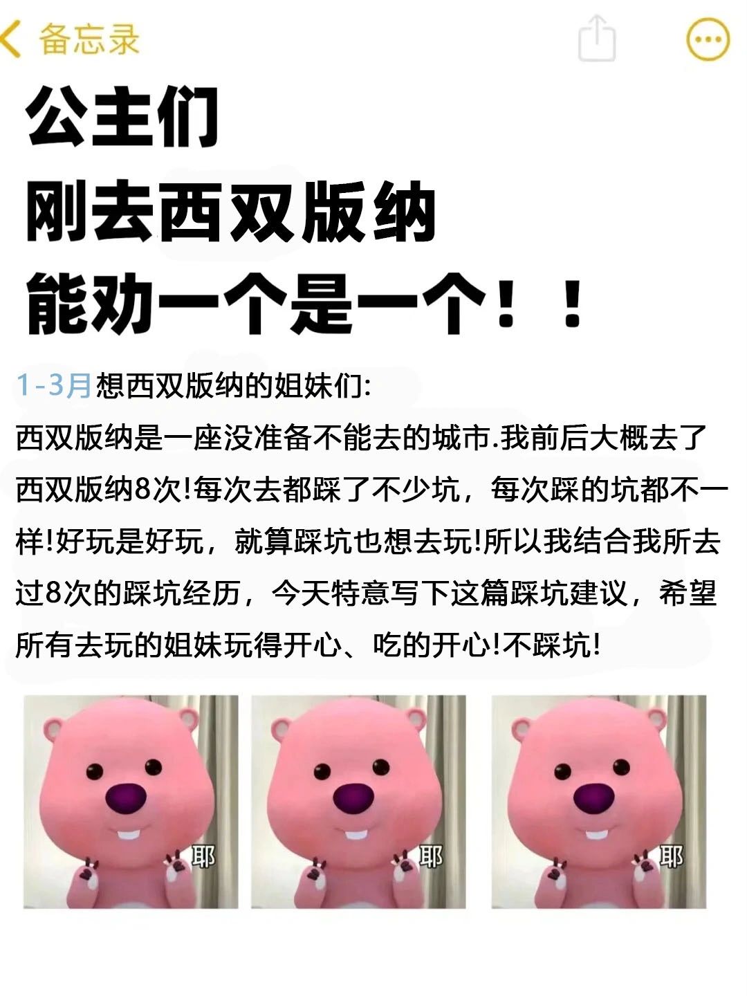 1-3月来版纳旅游的姐妹注意！要看的一份攻略