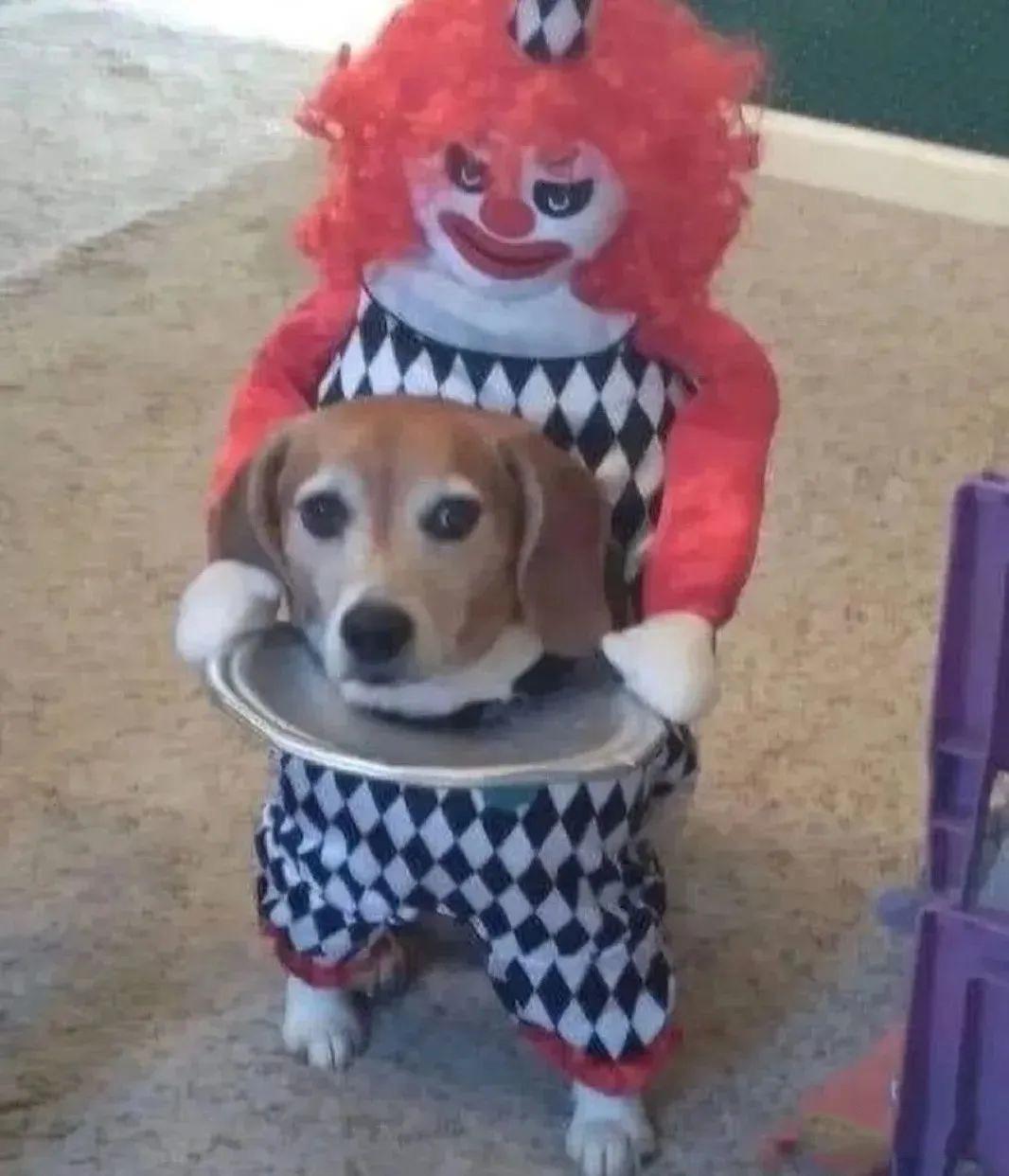 你为什么不相信牢A（斯奎奇大王）？
如题，回答你为什么不相信牢A（他的人设、言论