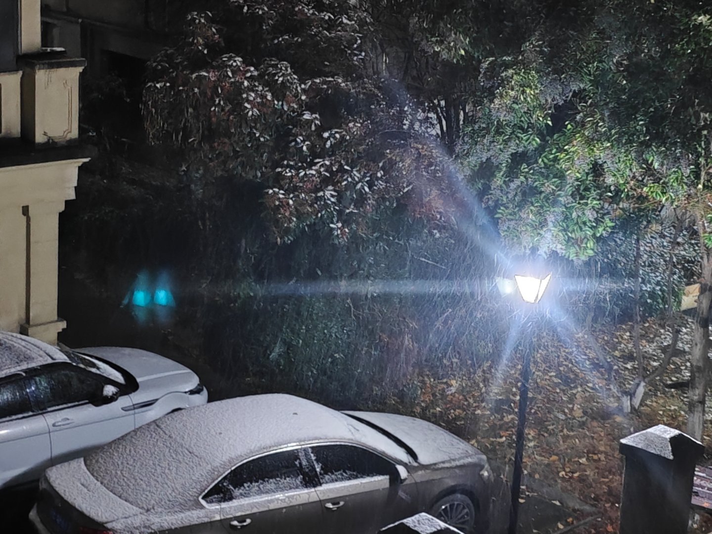 冬天总是让人睡眠变好​不是因为物理现象​单纯的低温让人变懒​夜里一场大雪​醒来阳