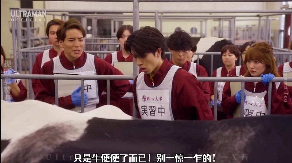 提欧真是开局就拉了两坨大的啊（字面意义） 