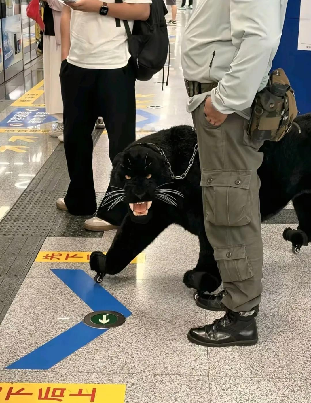 坐地铁时吓了一跳，难道是行李箱？