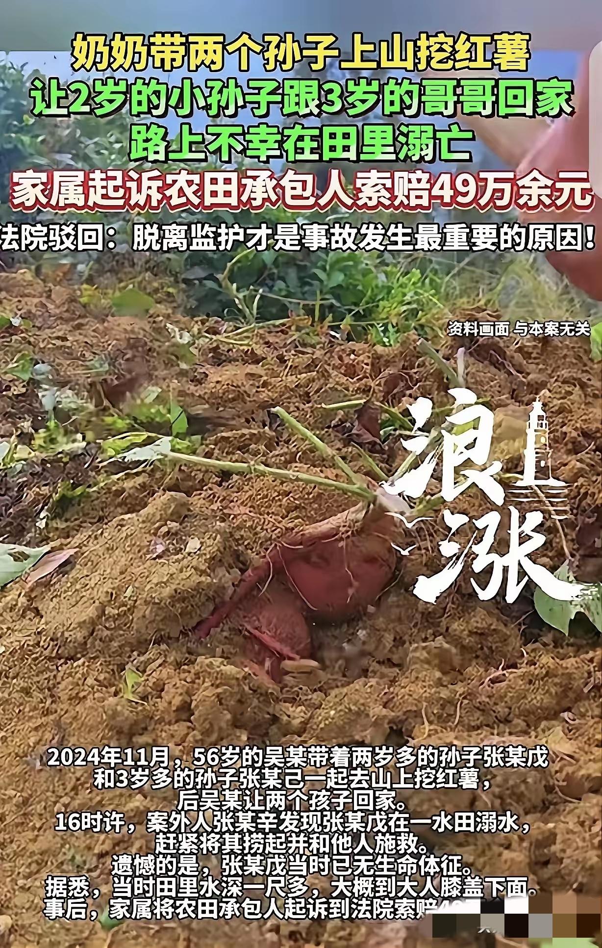 悲剧还是发生了！奶奶带2岁、3岁孙儿挖红薯，竟让俩娃独自回家，

2岁宝宝不幸在