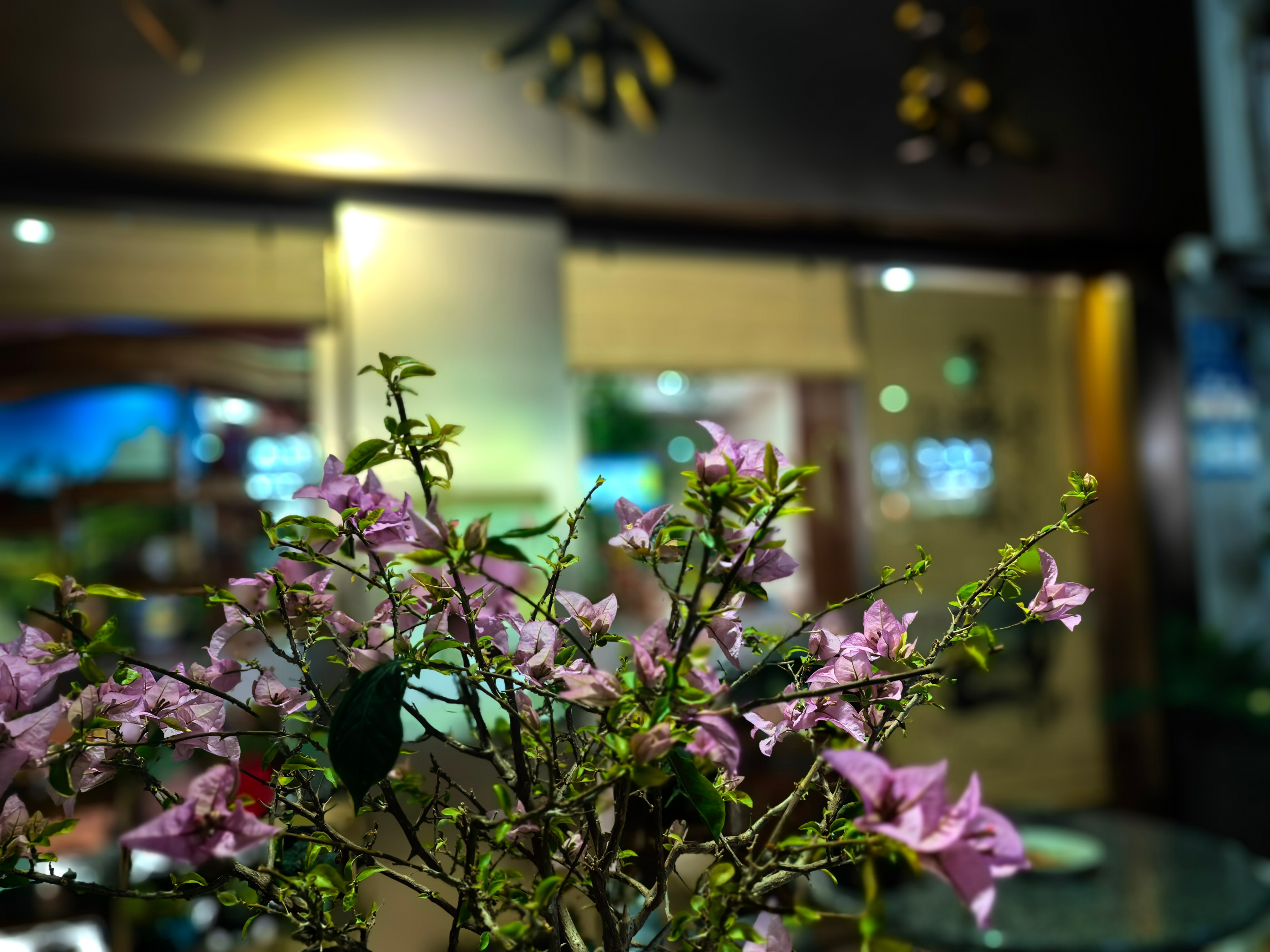 有效复盘把自己的失败拿出来，一刀一刀剖开(一)2025年对很多老板来讲，或许都是