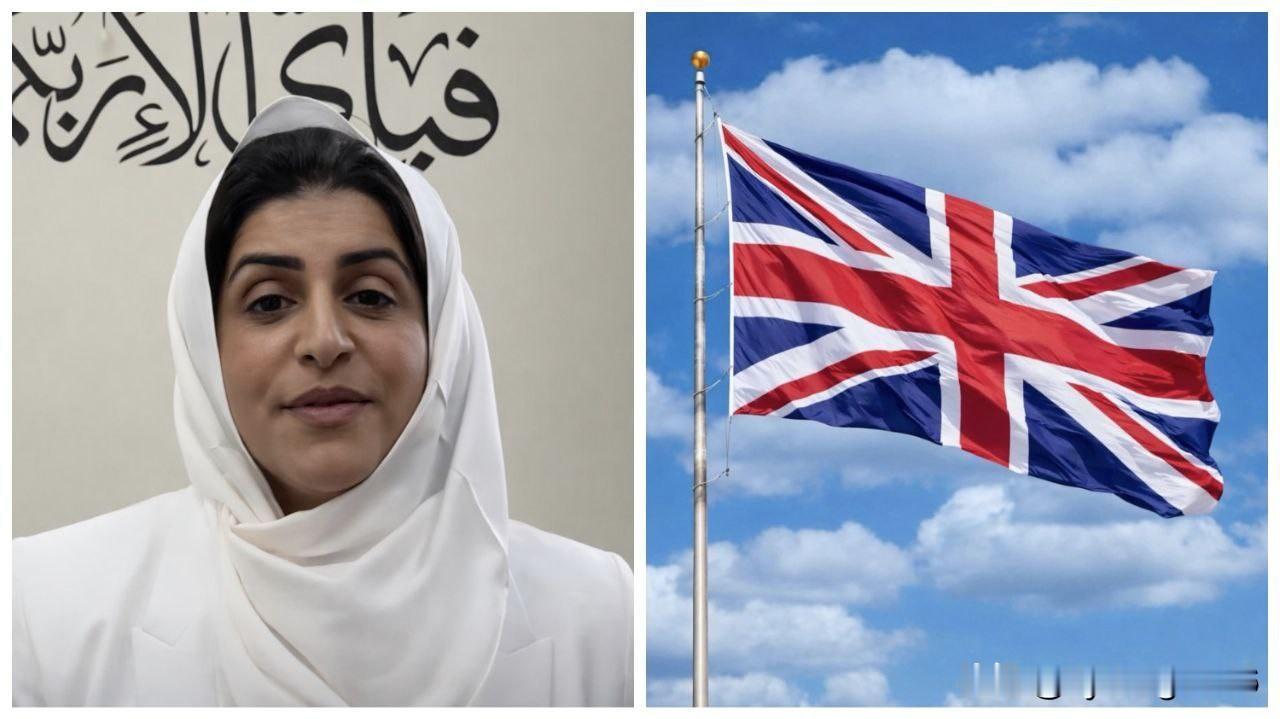 🇬🇧如果基尔·斯塔默因爱泼斯坦事件的余波而辞职，沙巴娜·马哈茂德有可能成为英