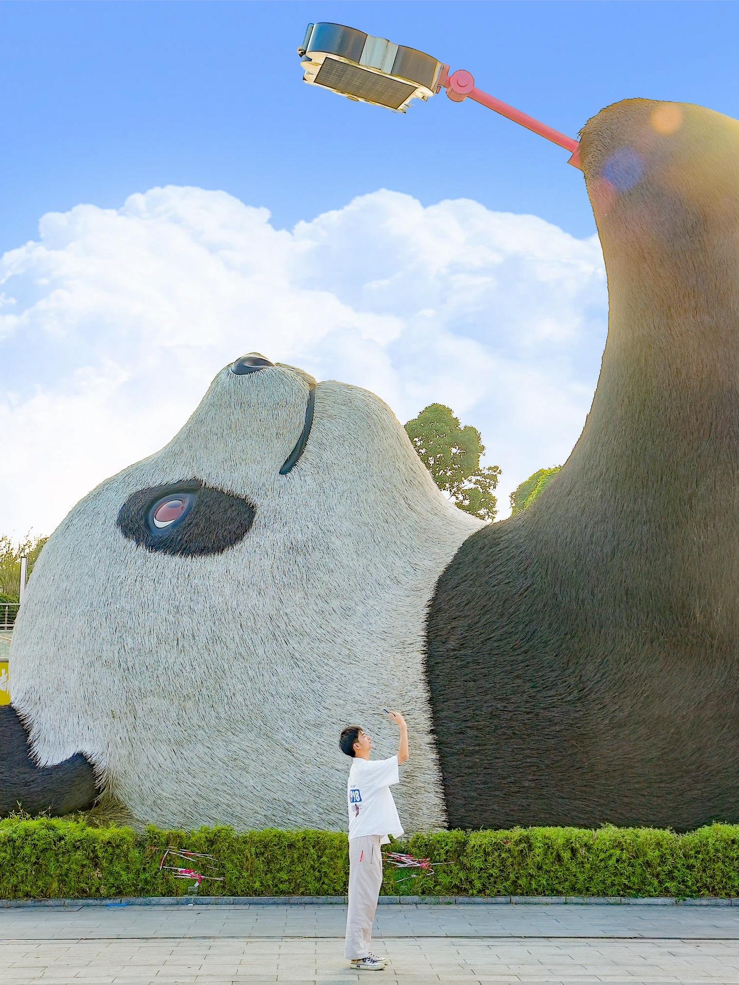 听劝！来都江堰一定留2天时间给都江堰~来都江堰已经不下10次啦~ 后知...