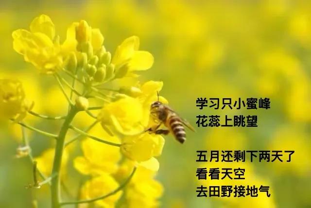 一缕光 心上过
天空亮了
．
在夏日
交换个眼神
你与我
是沾上光芒之人