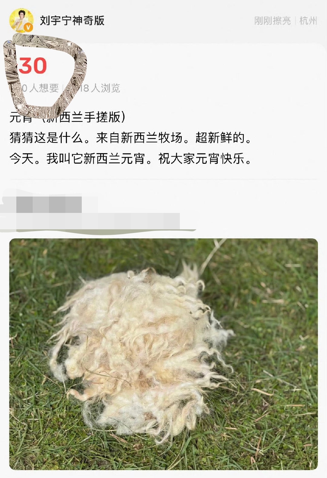 咦，这手里的不就是那个新西兰元宵么 