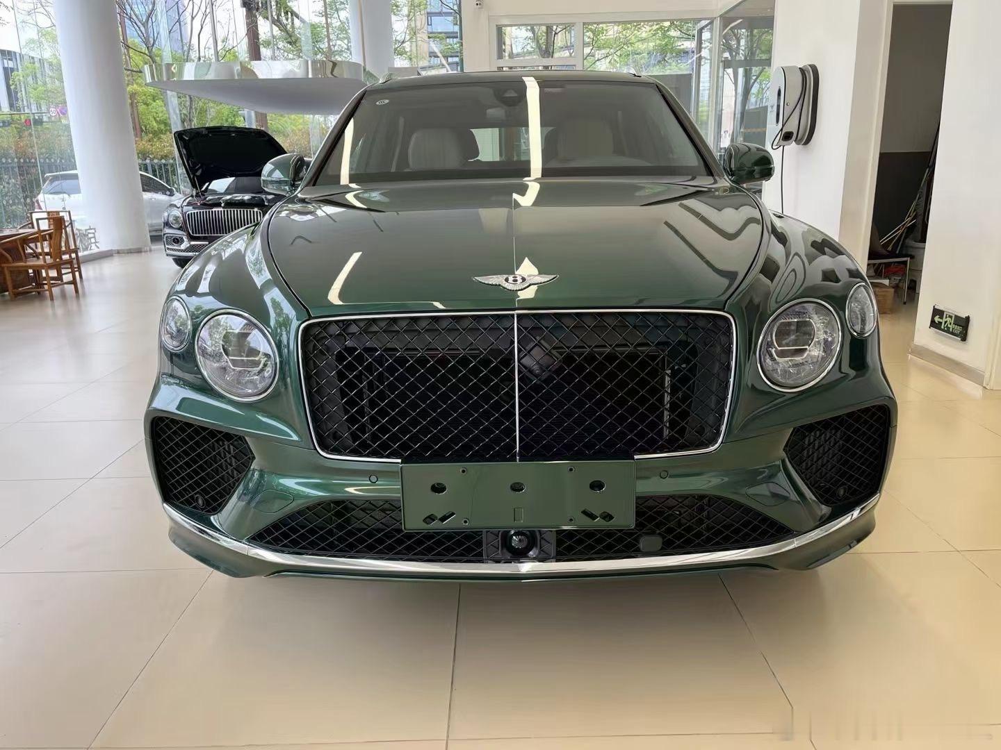添越混动苍翠绿，全新现车 ​​​