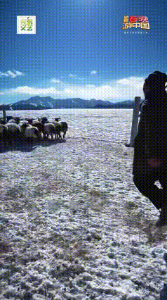 普通人把生活写成诗跟着春晚游中国遇见民间诗人跟着春晚游中国跟着春晚游中国邂逅一群