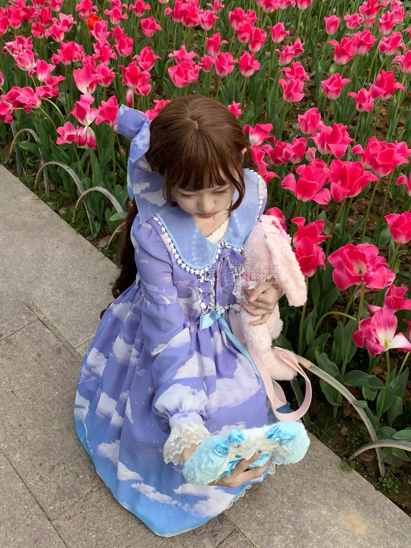郁金香就是春天最好的文案🌷