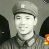 闲云野鹤鹤