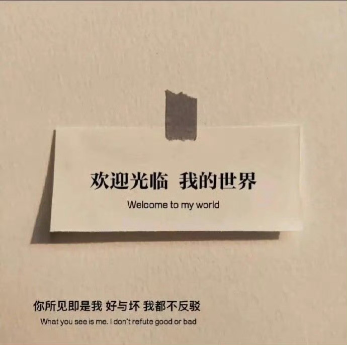 《生活大爆炸》里有一句很喜欢的台词：“也许你感觉自己与周遭格格不入，但正是那些你