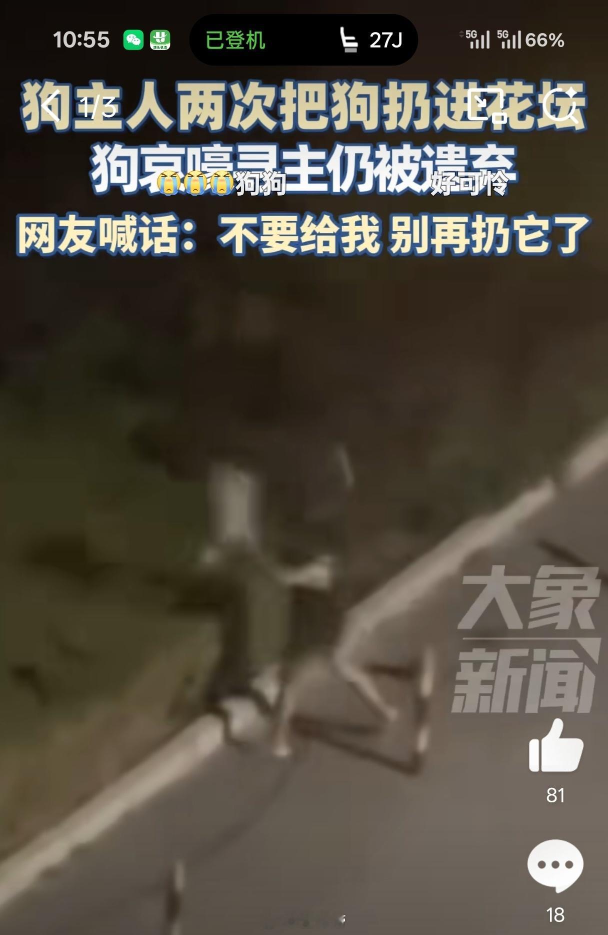 小狗遭主人2次扔弃哀嚎仍被丢小狗不懂什么叫遗弃，它以为是主人的游戏 ​​​