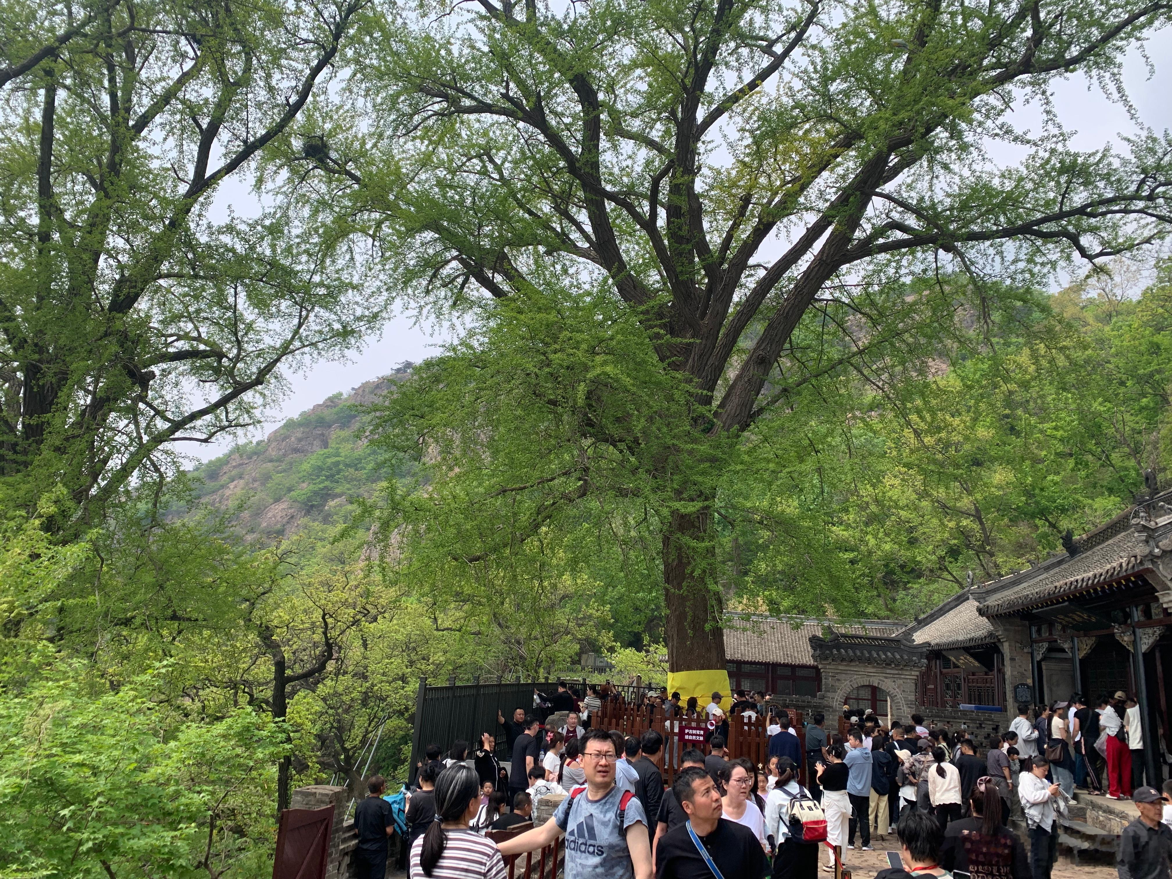 辽宁大孤山是一个会让“高考”这件事突然变得很具体的地方。你会看到家长认真祈福、考