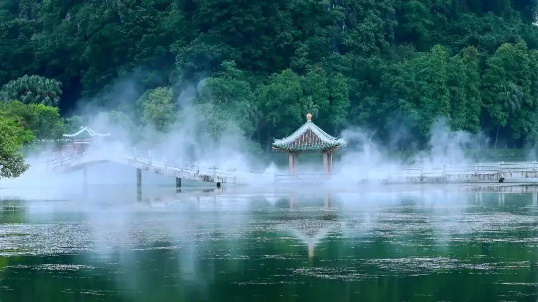 鼎湖，七星岩官宣限时五折，还不如把门票降低，很多珠三角地区的人喜欢自驾来玩，都觉