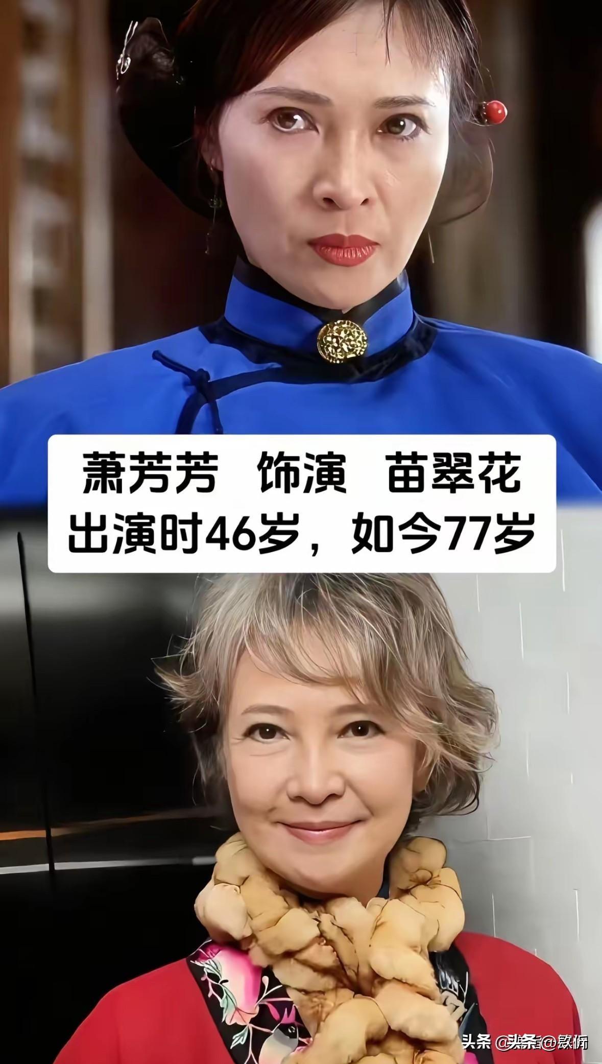 1993年《方世玉》上映，李连杰演方世玉，李嘉欣演雷婷婷，萧芳芳演苗翠花，胡慧中