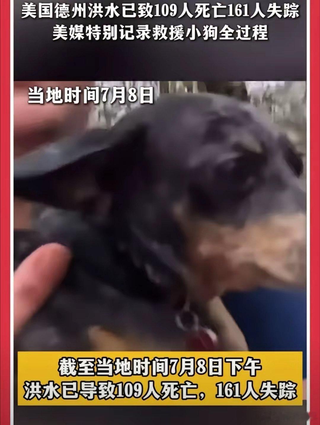 果然网友没有猜错，得州洪水救出一条狗。中国人在作秀方面真的差太远了，人家美国消防